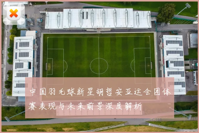 中国羽毛球新星胡哲安亚运会团体赛表现与未来前景深度解析