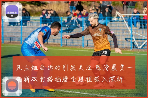 凡尘组合拆对引发关注 陈清晨贾一凡新双打搭档磨合进程深入探析
