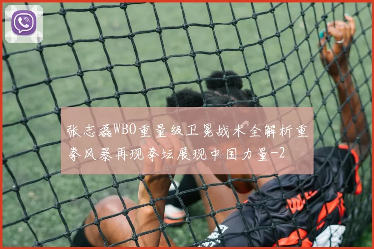 张志磊WBO重量级卫冕战术全解析重拳风暴再现拳坛展现中国力量